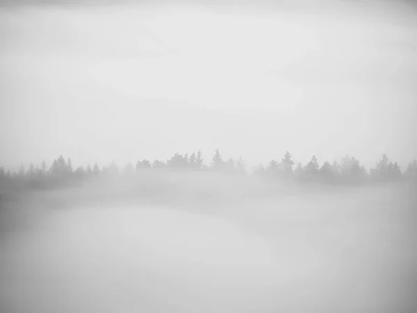 Vista para o vale nebuloso. Árvores altas e picos rochosos aumentaram de nevoeiro espesso. Os primeiros raios de sol — Fotografia de Stock