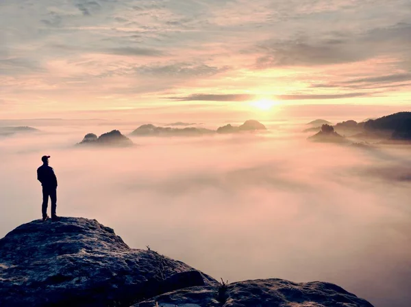 Man staat alleen op de top van de rots. Wandelaar kijken tot herfst zon bij de horizon. Mooi moment het wonder van de natuur. Kleurrijke mist in de vallei. Wandeling van de man. Persoon silhouet stand — Stockfoto