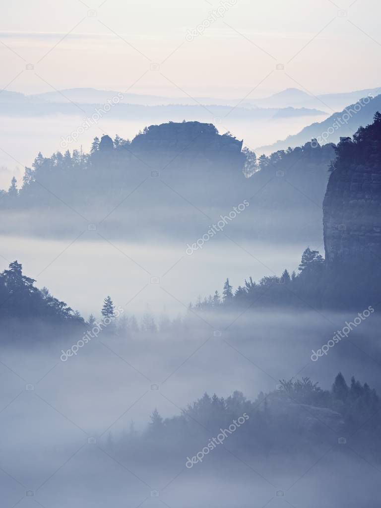 View into misty valley. High trees and rocky peaks increased from thick fog.  The first sun rays