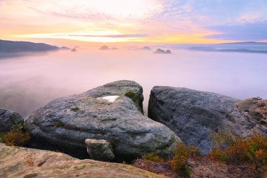 Sonbahar manzara. Derin puslu Vadisi sabah görünüme kumtaşı uçuruma. Kumtaşı zirveleri