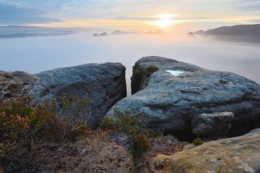 Güçlü güneş ışınları uzun şeritler sisin içinde olun. Puslu Vadisi üzerinden sonbahar güneşli görünüm