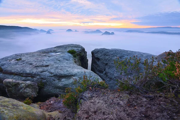 Paisaje de otoño. Vista de la mañana sobre el acantilado de piedra arenisca en profundo valle brumoso. Picos de arenisca — Foto de Stock