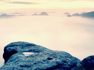 Keskin kumtaşı kenar üzerinde uzun vadide ilk sonbahar sis tam görüntüleyin. Sisli orman Vadisi Milli park ben