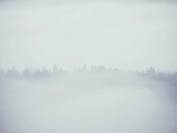 View into misty valley. High trees and rocky peaks increased from thick fog.  The first sun rays — Stock Photo, Image