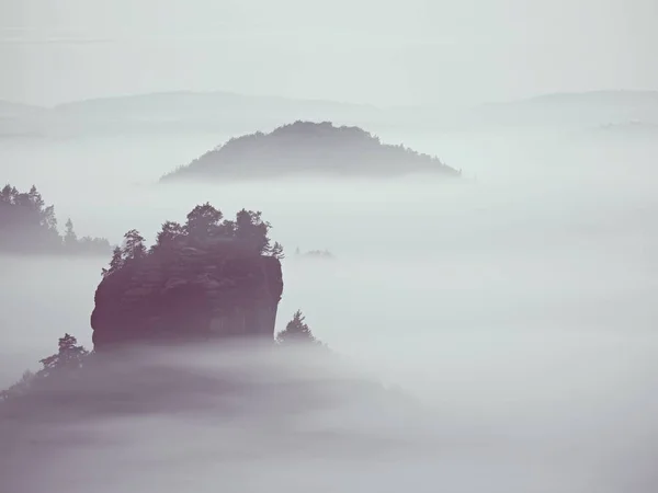 查看进迷雾笼罩的山谷。高大的树木和岩石山峰增加从厚厚的雾。第一次的太阳光芒 — 图库照片