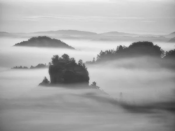 Мечтательный пейзаж затерялся в густом тумане. Фантастическое утро, сияющее мягким солнечным светом, туманная долина . — стоковое фото