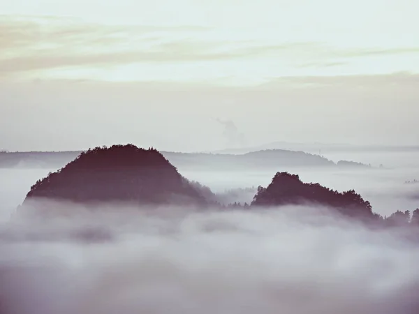 Paisaje de ensueño perdido en una espesa niebla. Fantástica mañana brillante por la luz del sol suave, valle brumoso . —  Fotos de Stock