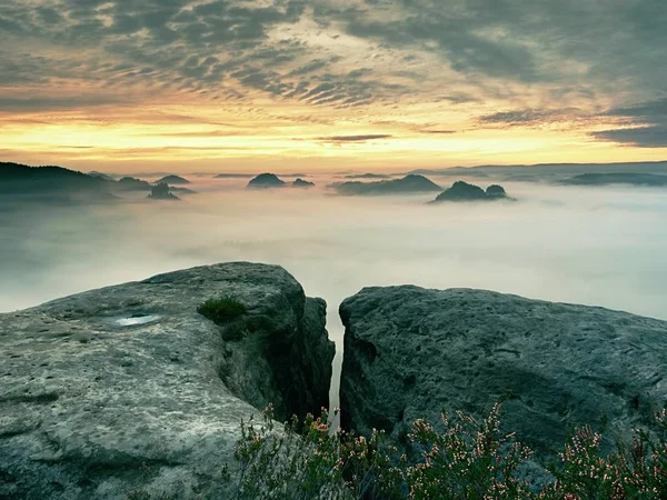 Vue sur le bord pointu du grès dans une longue vallée pleine de brume automnale. La vallée de la forêt brumeuse du parc national i — Photo