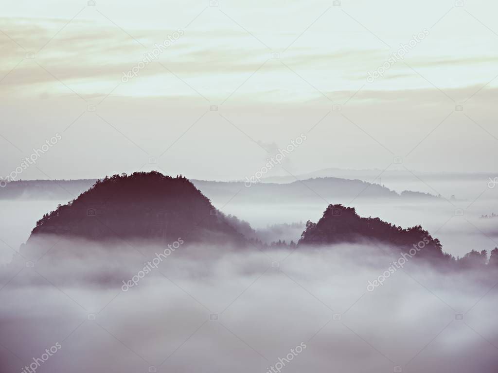 Dreamy landscape lost in thick fog. Fantastic morning glowing by gentle sunlight, foggy valley.