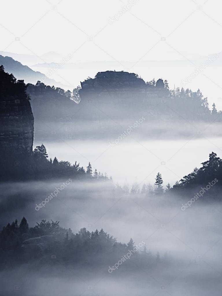 Dreamy landscape lost in thick fog. Fantastic morning glowing by gentle sunlight, foggy valley.