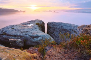 Sonbahar daybreak Saksonya İsviçre Ulusal Parkı içinde muhteşem an. 