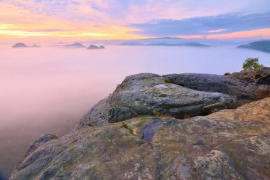 Güçlü güneş ışınları uzun şeritler sisin içinde olun. Puslu Vadisi üzerinden sonbahar güneşli görünüm