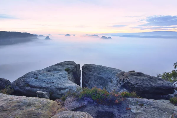 Momento incredibile all'alba autunnale nel parco nazionale della Sassonia Svizzera . — Foto Stock