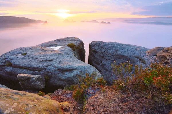 Sonbahar daybreak Saksonya İsviçre Ulusal Parkı içinde muhteşem an. 