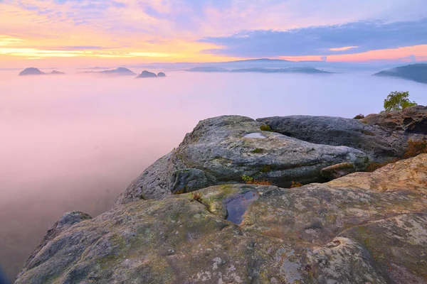 Güçlü güneş ışınları uzun şeritler sisin içinde olun. Puslu Vadisi üzerinden sonbahar güneşli görünüm