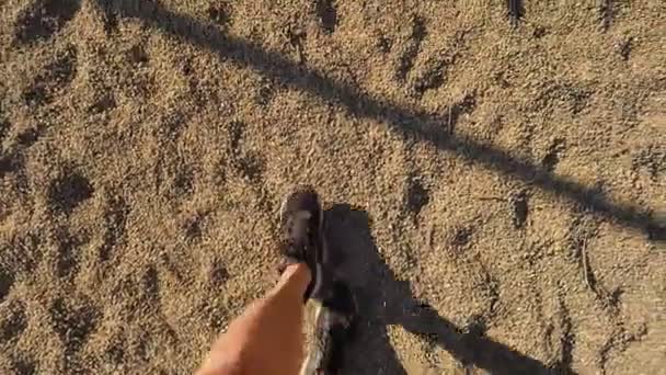 Lába fekete sport cipő walking homokos talajon. Szőrös bőr lábak férfi futócipő — Stock videók