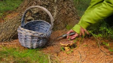 Top sepeti çember okul basketbol sahası içinde geçiyor. Basketbol net zinciri düşüyor.