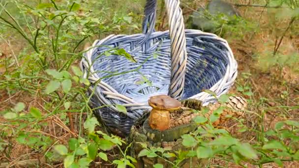 Bollen går igenom basket hoop i skolan basketplan. Basket faller igenom kedjan netto. — Stockvideo