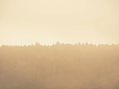 Forest hill im kalın sis gizli. Eylül başında puslu manzara. 