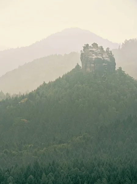 Fairy daybreak in silent landscape.The thick fog is swinging between hill sides and strip over trees — Stock Photo, Image