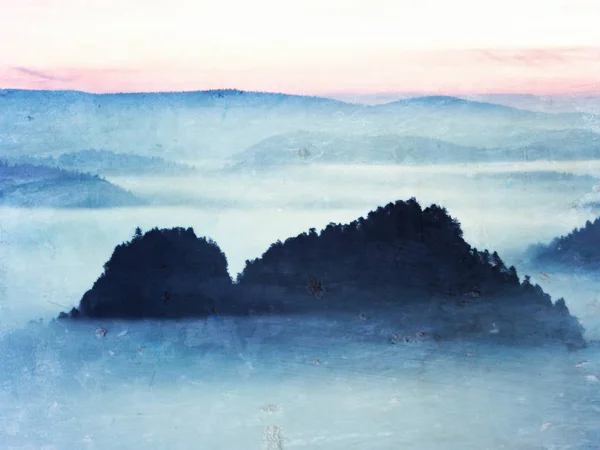 Verträumte Landschaft, verloren im dichten Nebel. fantastischer Morgen, der von sanftem Sonnenlicht erleuchtet wird, nebliges Tal. — Stockfoto