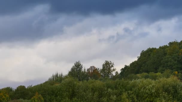 Tempo ventoso nella foresta. Forte vento rimuovere foglie colorate da alberi autunnali sulla collina foresta. Nuvole scure si muovono rapidamente attraverso il cielo. Meteo autunnale . — Video Stock