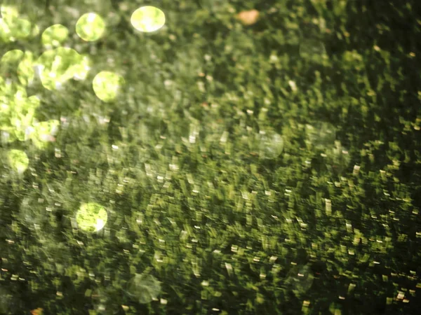 Folhas desfocadas em água para fundo natural. Cores desfocadas e desfocadas no fluxo. Efeito turvo . — Fotografia de Stock