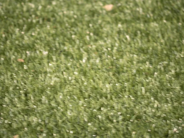 Defocused grass for background. Blurred and de focused green stalks leaves — Stock Photo, Image