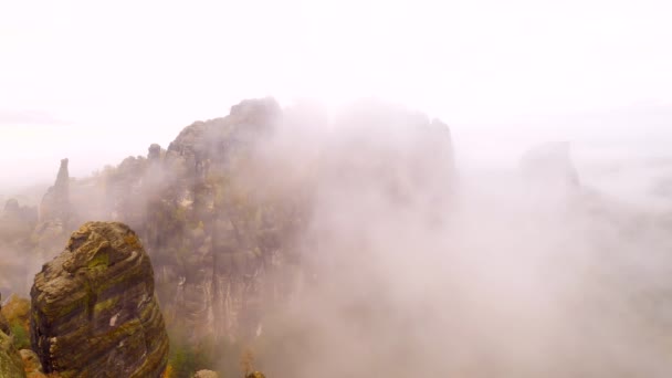 Autumnal misty morning on rocky towers of Schrammsteine in national park Saxony Switzerland, Germany. Popular climbers resort in thick creamy fog. — Stock Video