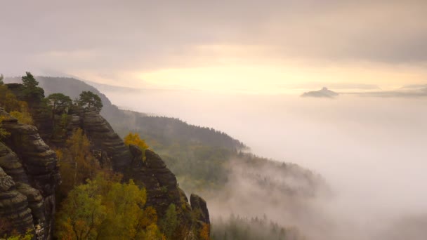Autumnal misty morning on rocky towers of Schrammsteine in national park Saxony Switzerland, Germany. Popular climbers resort in thick creamy fog. — Stock Video
