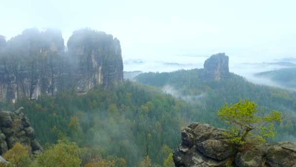 Őszi Ködös reggel a sziklás tornyok, a Schrammsteine nemzeti parkban szász Svájc, Németország. Népszerű a hegymászók resort vastag krémes ködben. — Stock videók