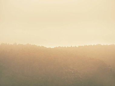 Forest hill im kalın sis gizli. Eylül başında puslu manzara. 