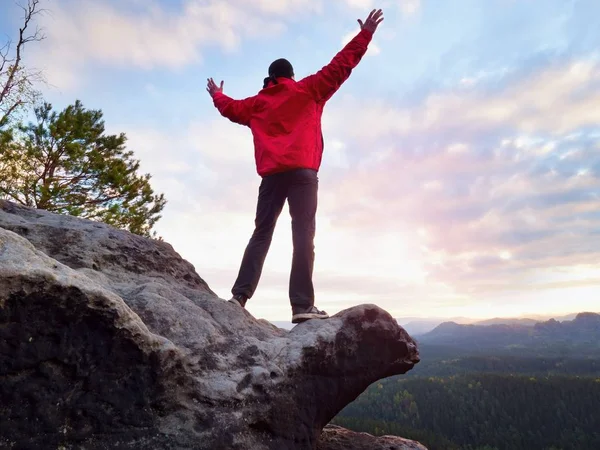 Yalnız turist kap ve sportif açık giysiler ile stand Milli Parkı vadiye izlerken uçurumun kenarında