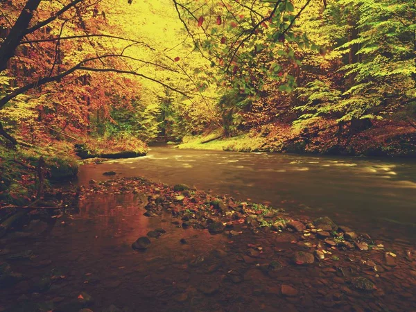 Bulanık dalgalar,, taze yeşil yosunlu taşlar ve kayalar nehir kıyısında sonbahar dağ nehir görüntülemek