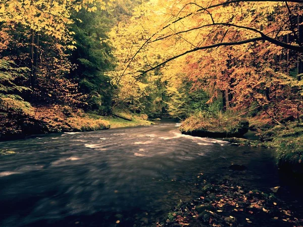 View into autumn mountain river with blurred waves,, fresh green mossy stones and boulders on river bank — Stock Photo, Image