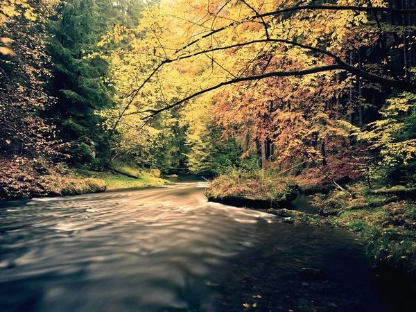 Puesta de sol de ensueño sobre la montaña en el bosque de otoño. Niebla colorida entre árboles en las orillas del río — Foto de Stock