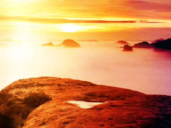 Keskin kumtaşı kenar üzerinde uzun vadide ilk sonbahar sis tam görüntüleyin. Sisli orman Vadisi