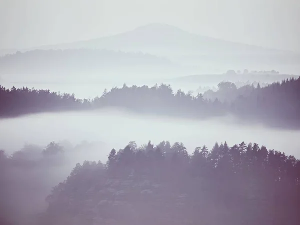 View into misty valley. High trees and rocky peaks increased from thick fog.  The first sun rays — Stock Photo, Image