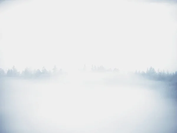 Kalter nebelblauer Morgen. eine Minute vor Sonnenaufgang in einem wunderschönen Tal mit felsigem Park. Baumspitzen — Stockfoto