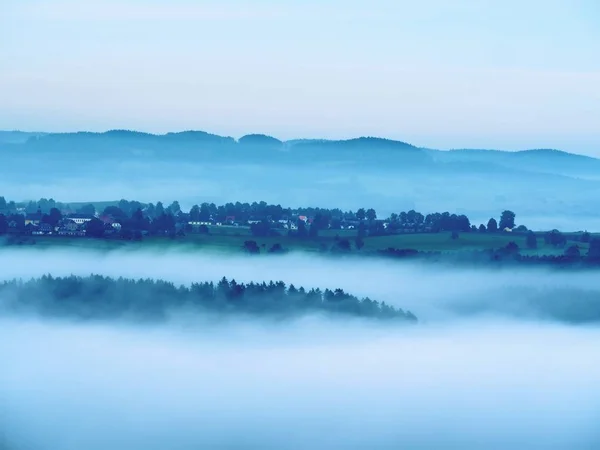 冷雾的蓝色早晨。在一个美丽的山谷的岩石公园日出前一分钟。树峰 — 图库照片
