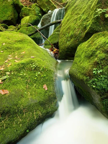 Weir dans le ruisseau de montagne. Feuilles colorées sur les pierres dans l'eau. Mossy rochers . — Photo