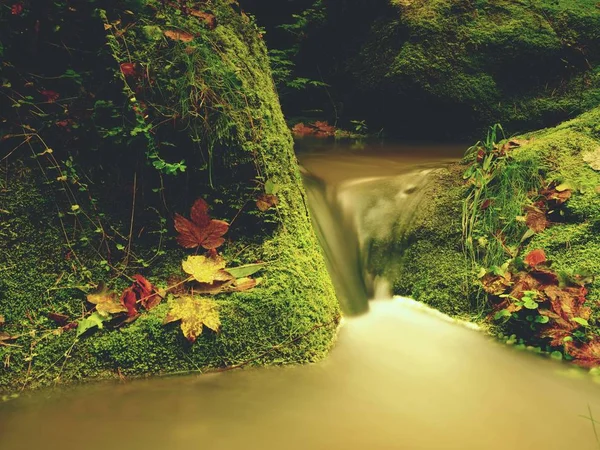 Weir in mountain stream. Colorful leaves  on stones into water. Mossy boulders. — Stock Photo, Image