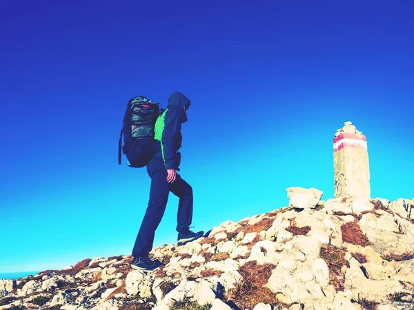 Wanderer mit Rucksack auf Berggipfel. Gipfelstein in den Alpen — Stockfoto