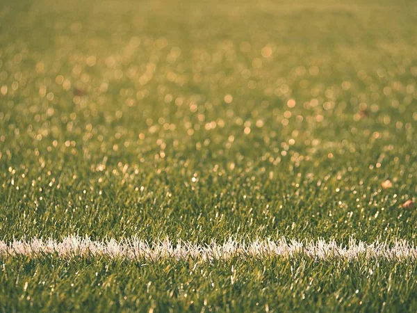 プレイ フィールドの境界線。サッカー遊び場で白線のクローズ アップ ビュー詳細、白線の — ストック写真
