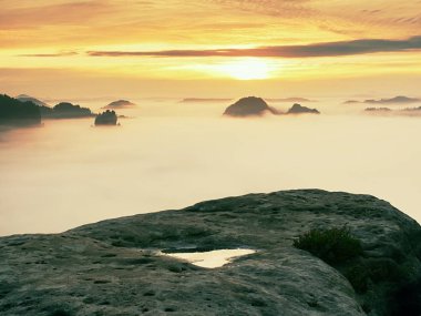 Keskin kumtaşı kenar üzerinde uzun vadide ilk sonbahar sis tam görüntüleyin. Sisli orman Vadisi Milli park ben