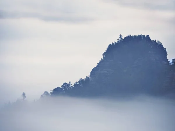 霧の谷に表示します。高い木や岩山の峰 々 は、濃い霧の中から増加しました。最初の太陽光線 — ストック写真