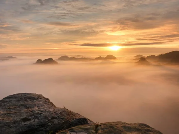 Widok na piaskowca ostrych krawędzi do długiej dolinie pełnej pierwsze jesienne mgły. W dolinie mglisty Las Narodowy park, i — Zdjęcie stockowe