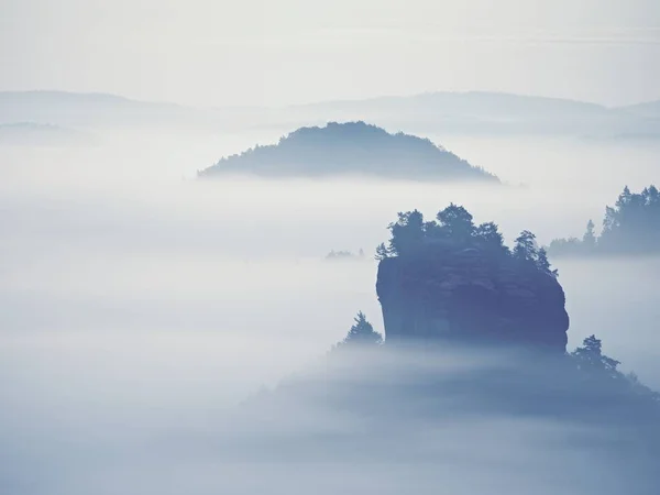 Dreamy landscape lost in thick fog. Fantastic morning glowing by gentle sunlight, foggy valley. — Stock Photo, Image