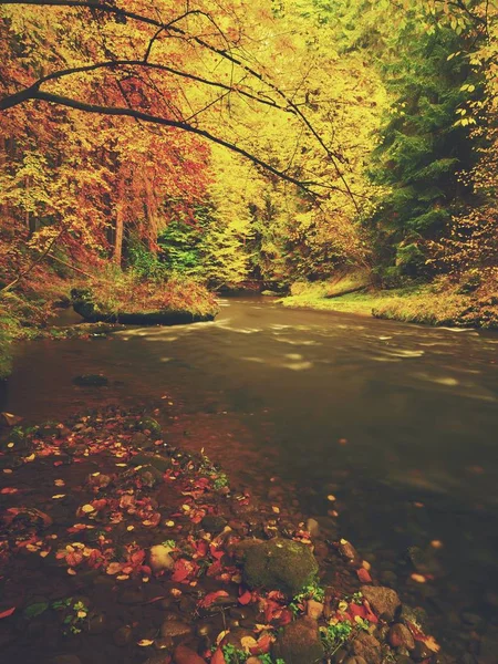 Rio de montanha de outono com baixo nível de água, pedras musgosas verdes frescas e pedras na margem do rio — Fotografia de Stock