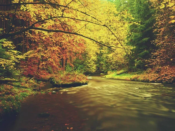 Fiume di montagna autunnale con basso livello d'acqua, pietre verdi muschiate fresche e massi sulla riva del fiume — Foto Stock